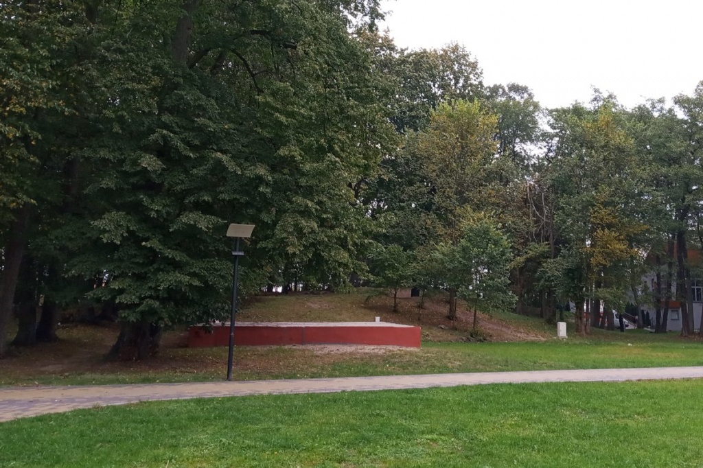 летняя сцена в парке.jpg